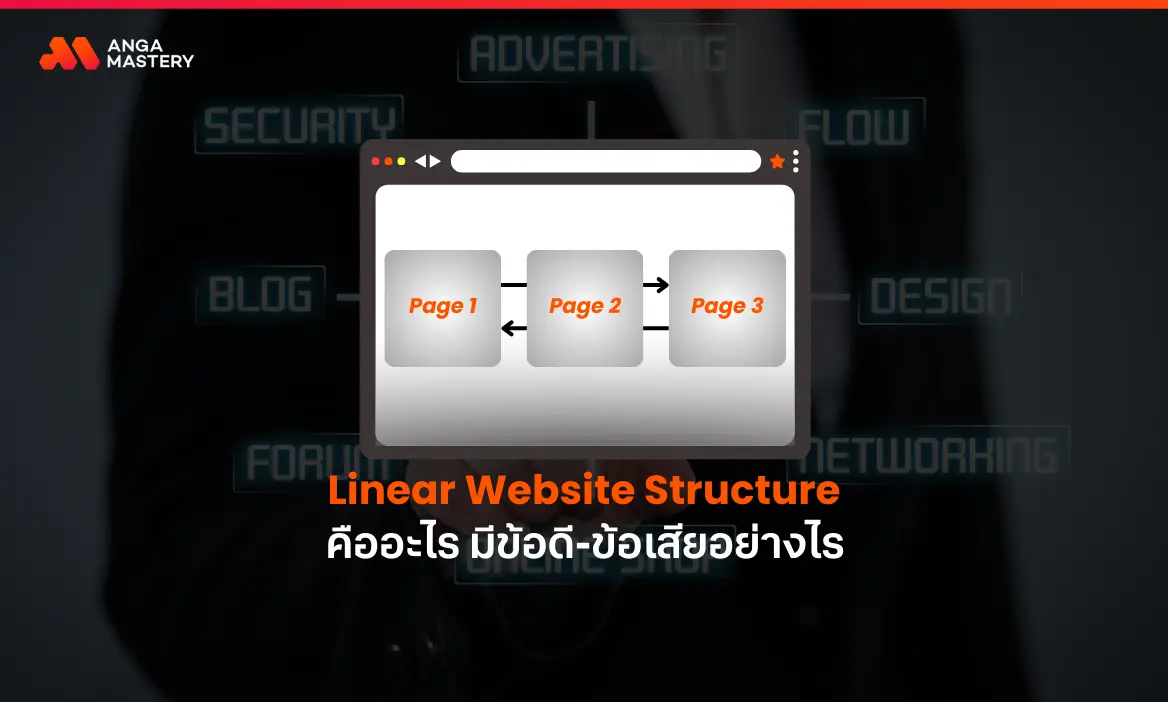 โครงสร้างเว็บแบบเส้นตรงคืออะไร ดีไหม มีข้อดีข้อเสียอย่างไร